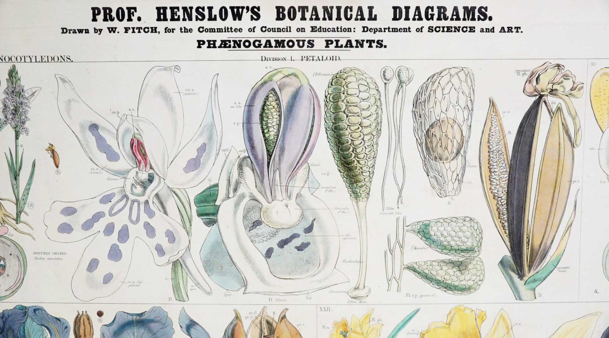 Image:Sowing the seeds of science