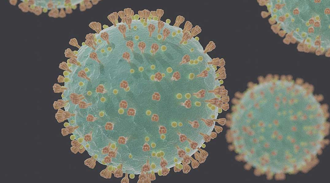 Image:Tracing the origins of the coronavirus pandemic using phylogenetic network analysis