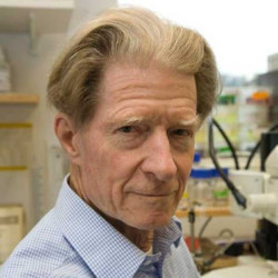 Image:Sir John B. Gurdon